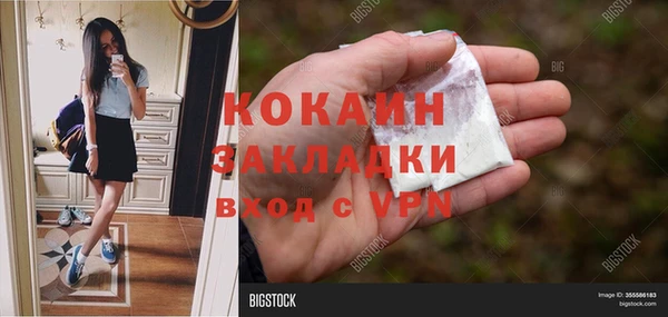 прущие грибы Вяземский