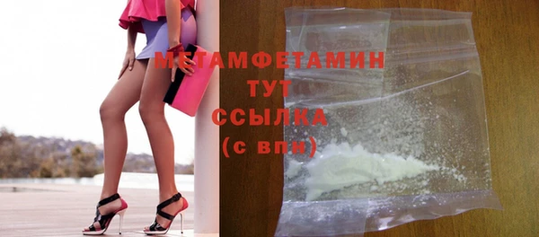 прущие грибы Вяземский