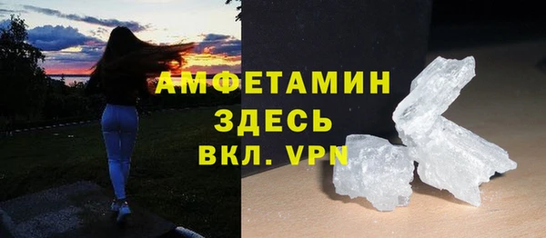 прущие грибы Вяземский