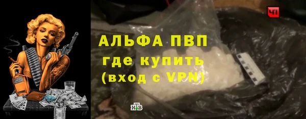 стаф Горняк
