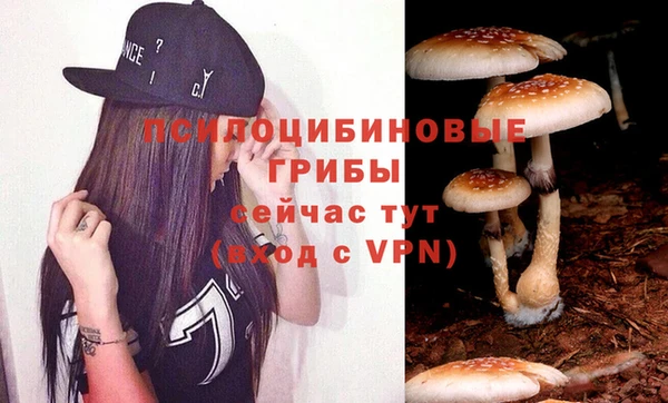 марихуана Горнозаводск