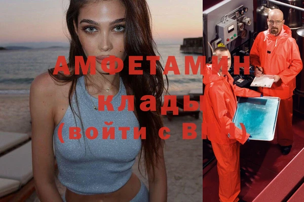 прущие грибы Вяземский