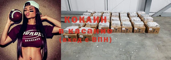 прущие грибы Вяземский
