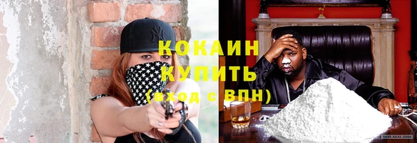 стаф Горняк