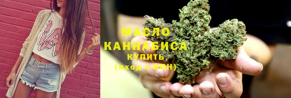 стаф Горняк