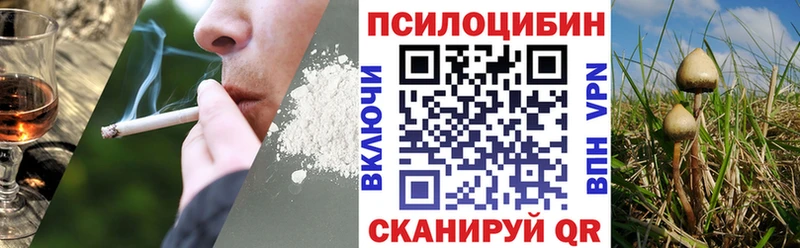наркота  Сызрань  Псилоцибиновые грибы GOLDEN TEACHER 